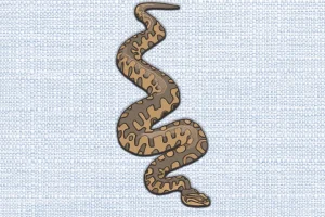 Reptile DST Embroidery Design by DSTEmbroideryDesign.com